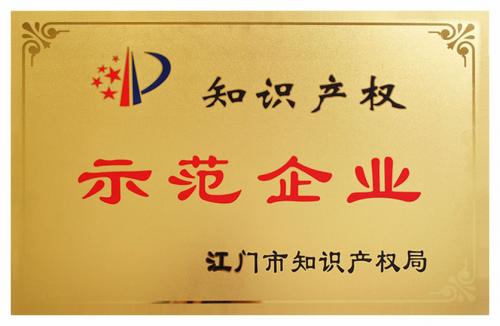 知識產(chǎn)權示范企業(yè)